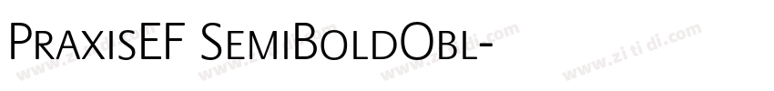 PraxisEF SemiBoldObl字体转换